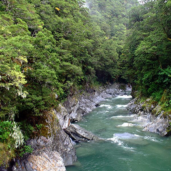 New Zealand Yoga Holiday - Image 6