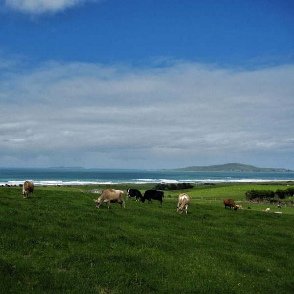 New Zealand Yoga Holiday - Image 4