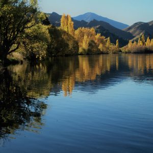 Lake Matheson, South Island New Zealand