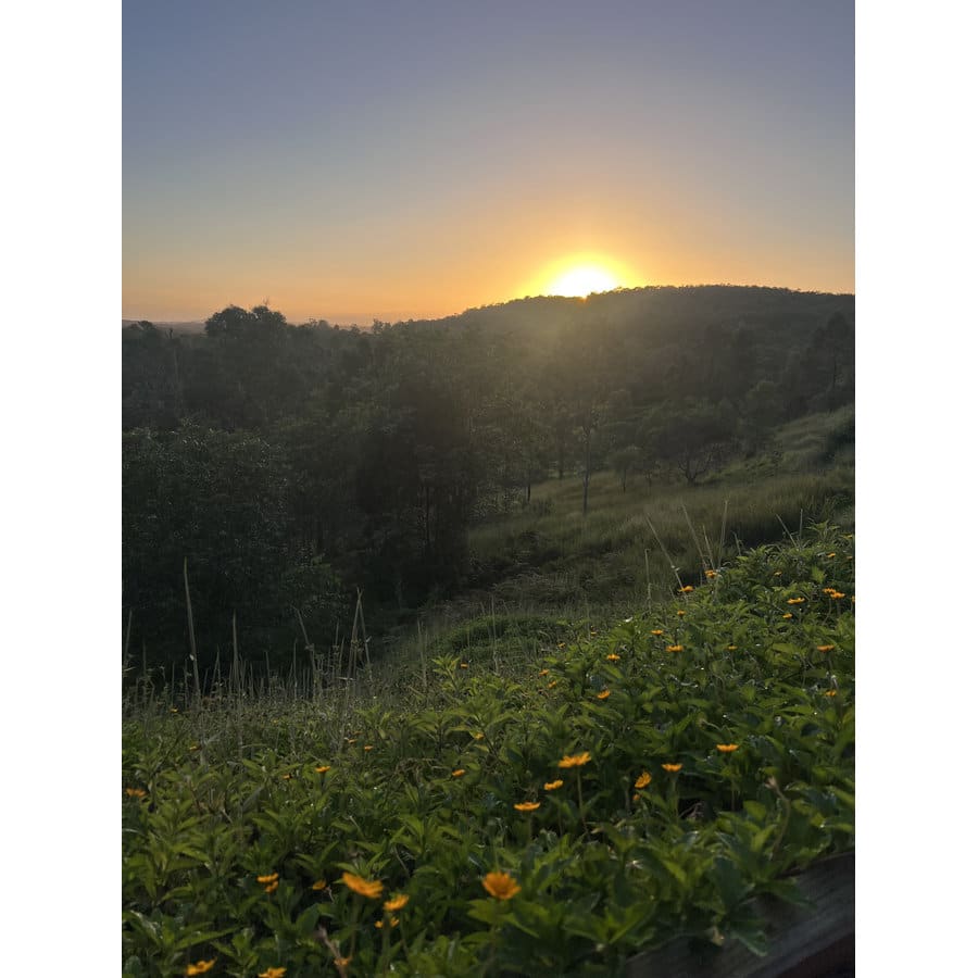 amara_retreat_2026