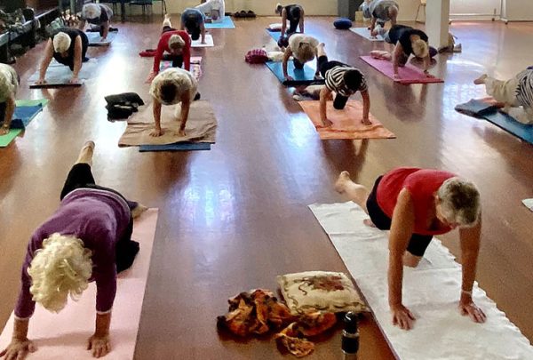 Yoga Class - Friday Morning - Image 2