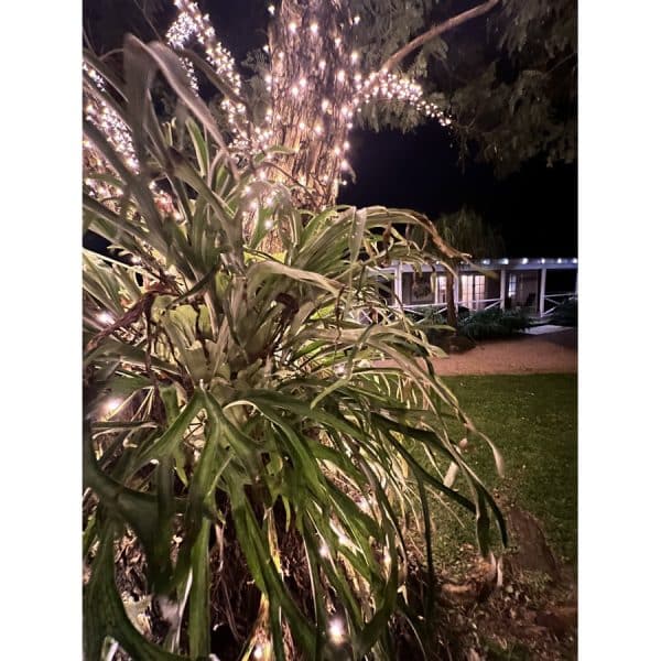 amara_retreat_2026